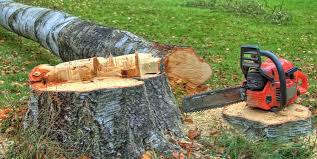 Best Utility Line Clearance  in Rose Hill, VA