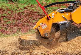 Best Tree Mulching  in Rose Hill, VA
