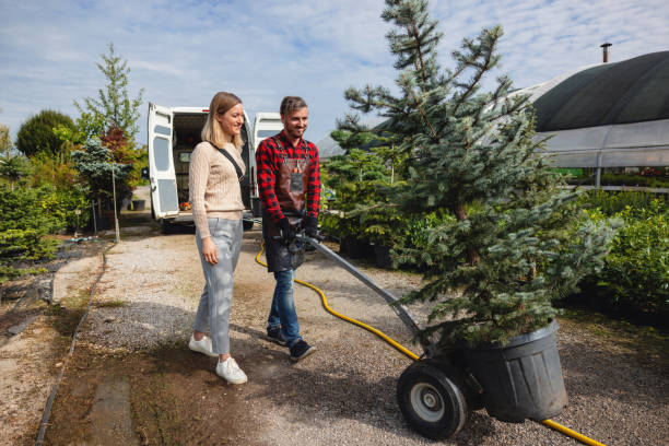 Best Palm Tree Trimming  in Rose Hill, VA